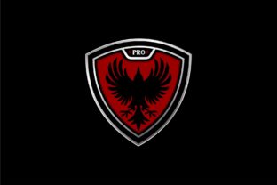 Download Raven Pro Gamer - Pro gamer Collection